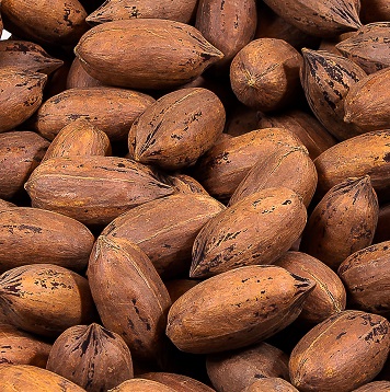 IN-SHELL PECANS